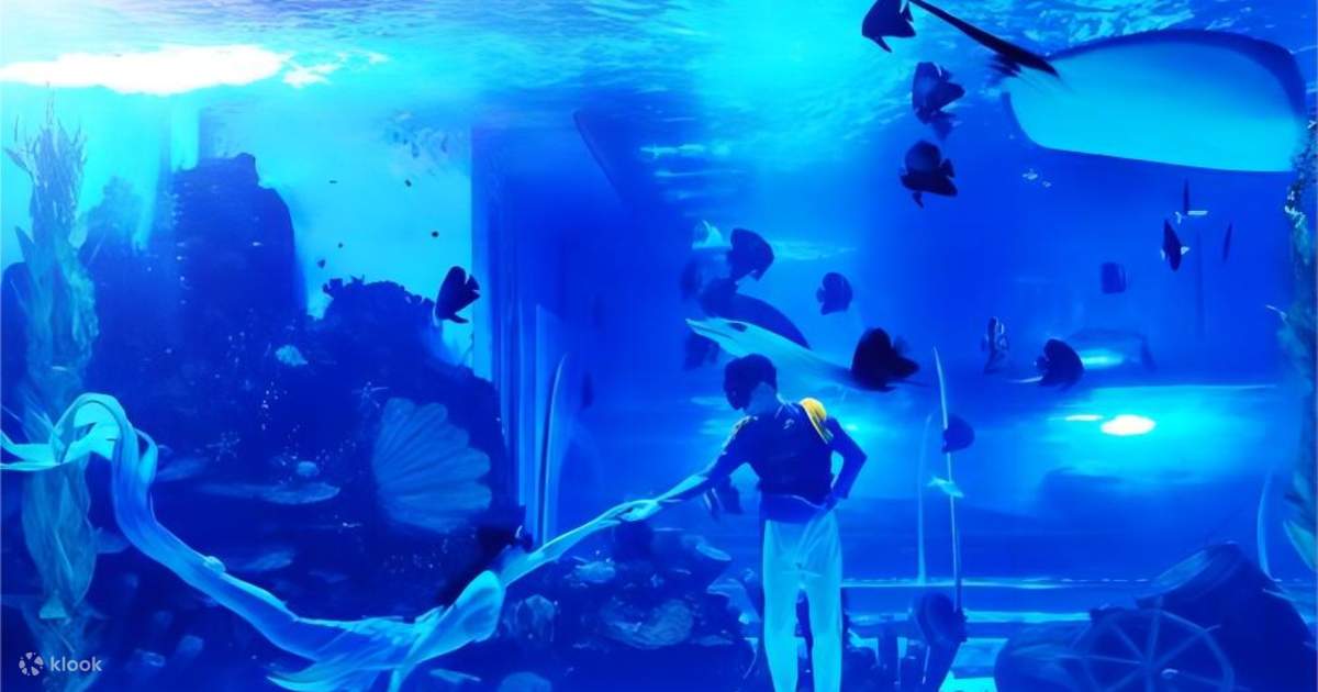 [Limited Time Offer] Shunde Ocean Park Tickets Klook